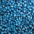 Blueberries