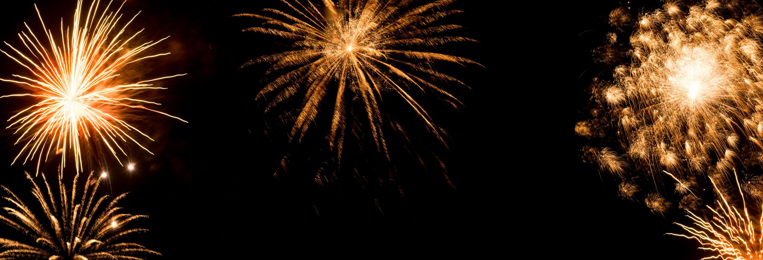 New Years Offer 2024 - Top Image