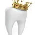 Dental Crowns